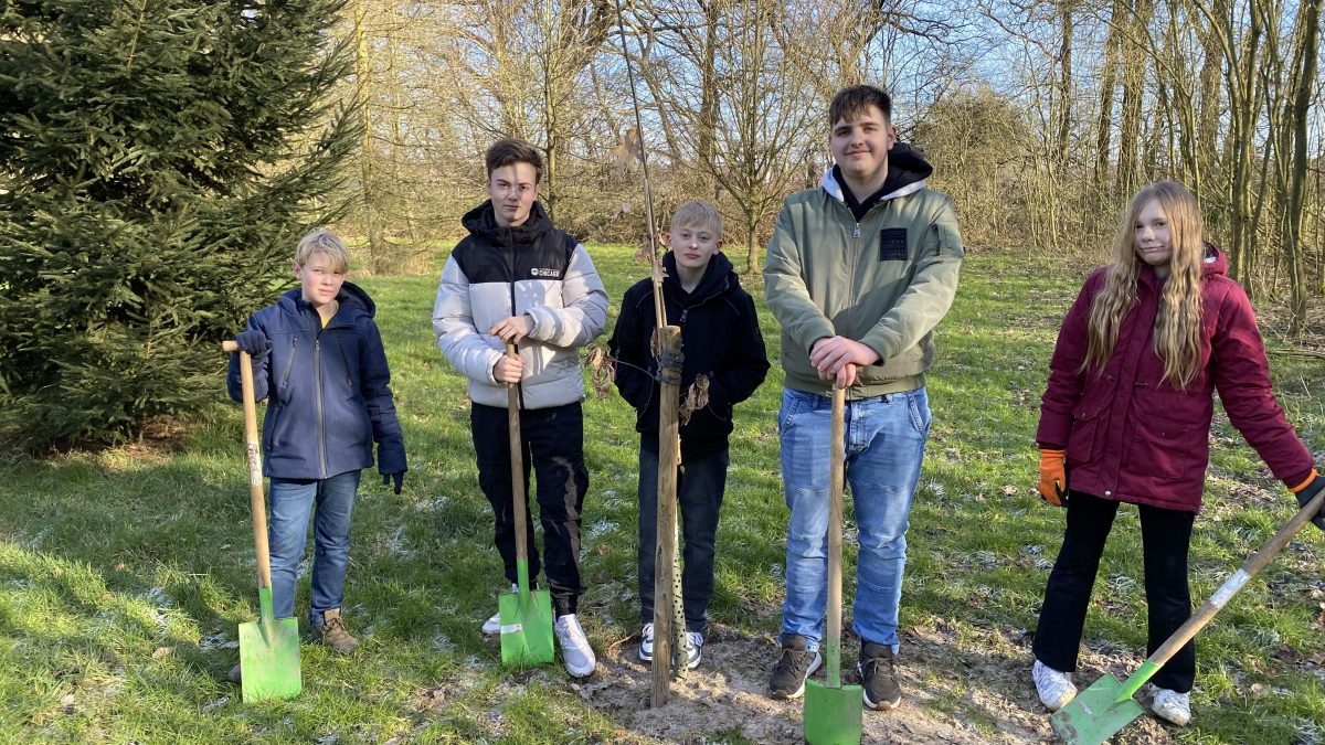 Schüler und Schülerinnen pflanzen Bäume im Wald