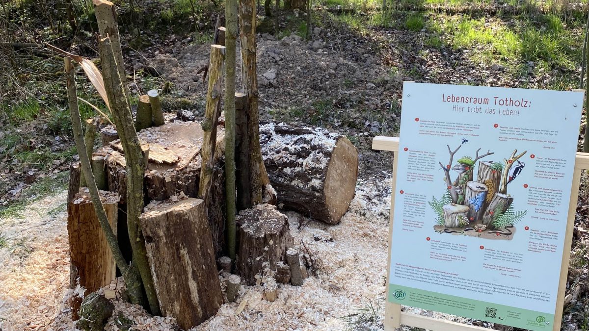 Schild des Lebensraums Totholz im Wald mit Baumstümpfen